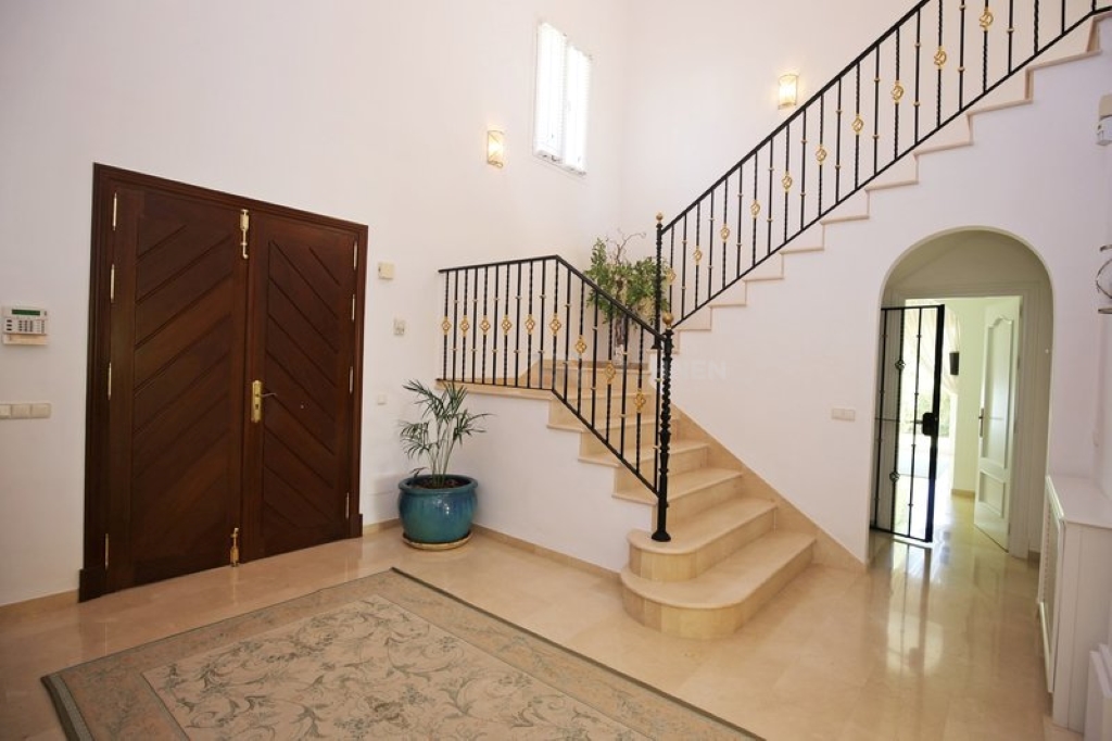 Image 11