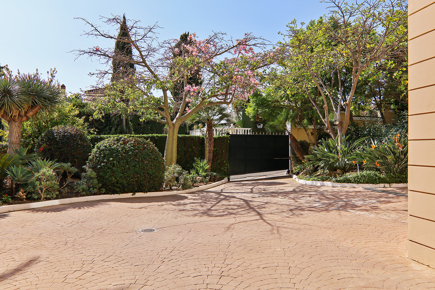 Image 21