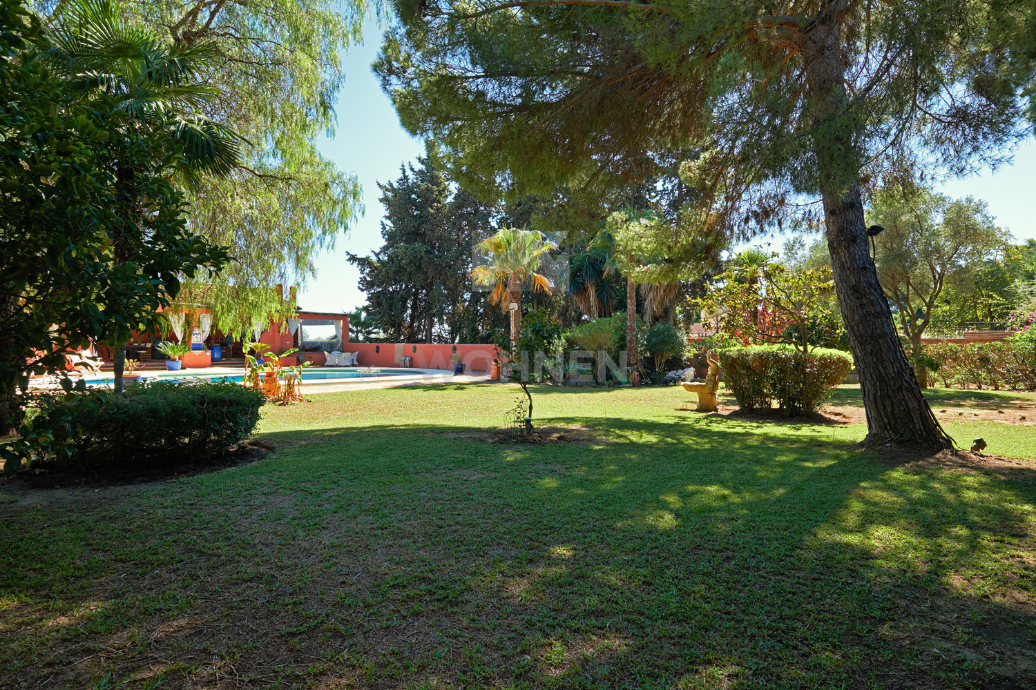 Image 8