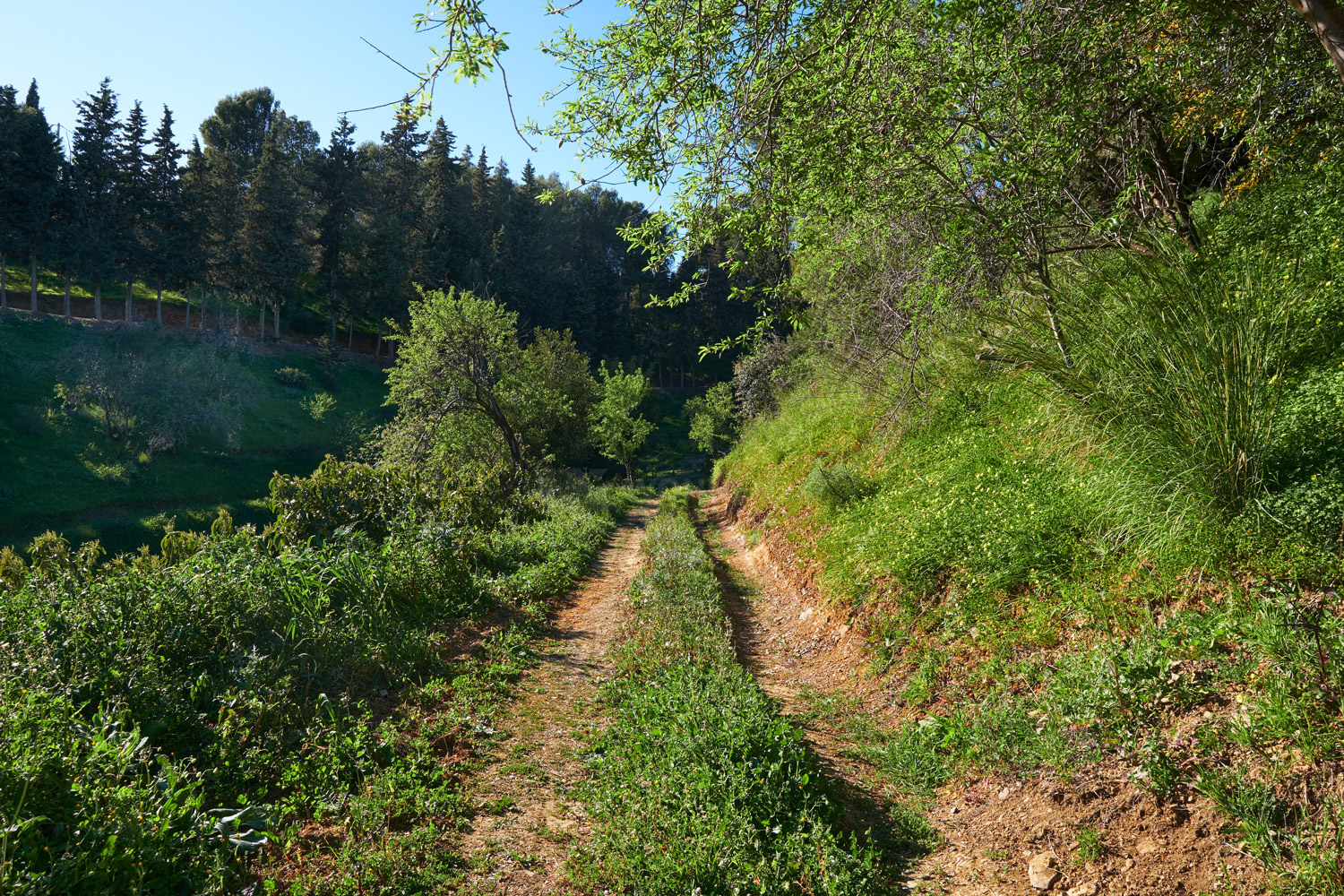 Image 38