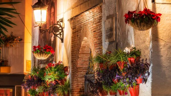 (English) MARBELLA – LIFESTYLE – Christmas in Marbella