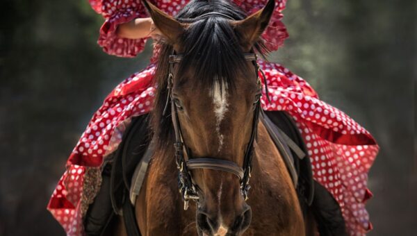 (English) EVENTS – Feria de Malaga 2019 – Discover the traditions in Spain