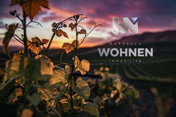 INMUEBLES – MARBELLA WOHNEN – HACIENDAS VITIVINÍCOLAS EN VENTA Vivir despacio, degustando el tiempo, vibrando con la naturaleza