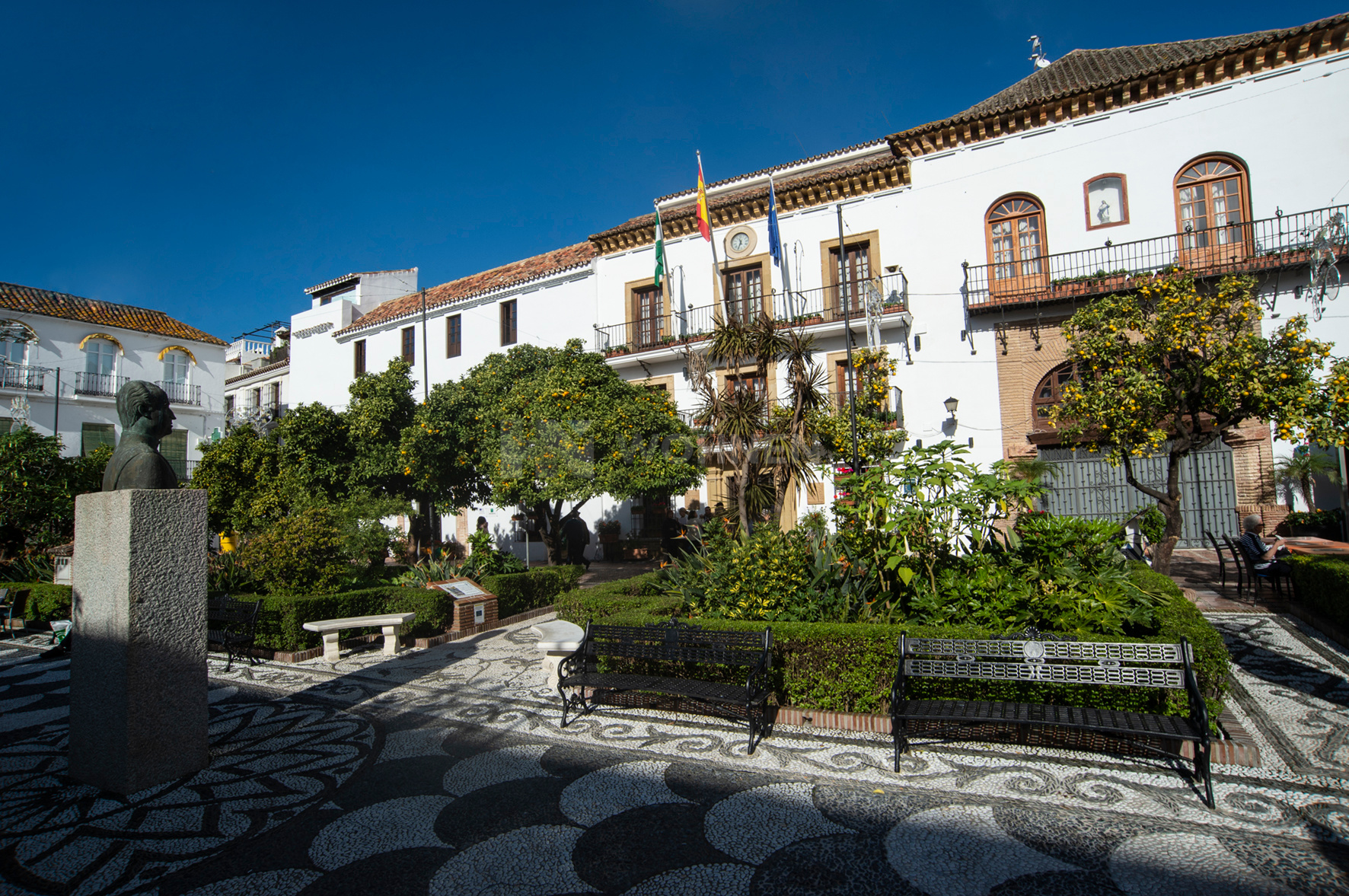 Image 15