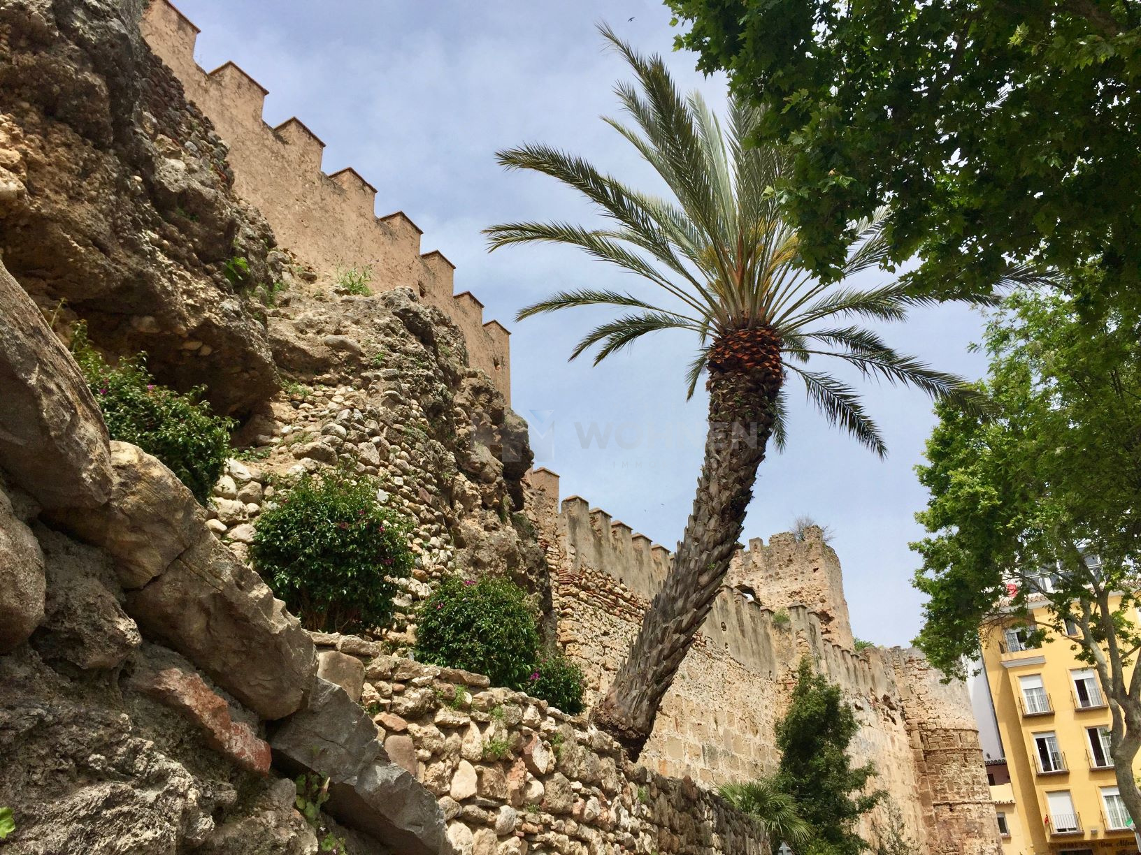 Image 11