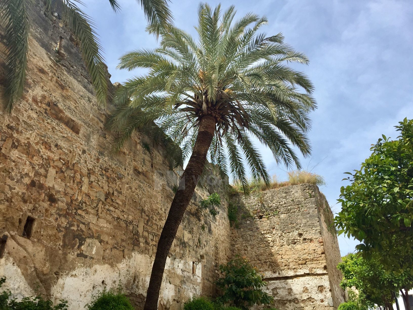Image 12