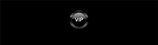 VIP Real Estate Service