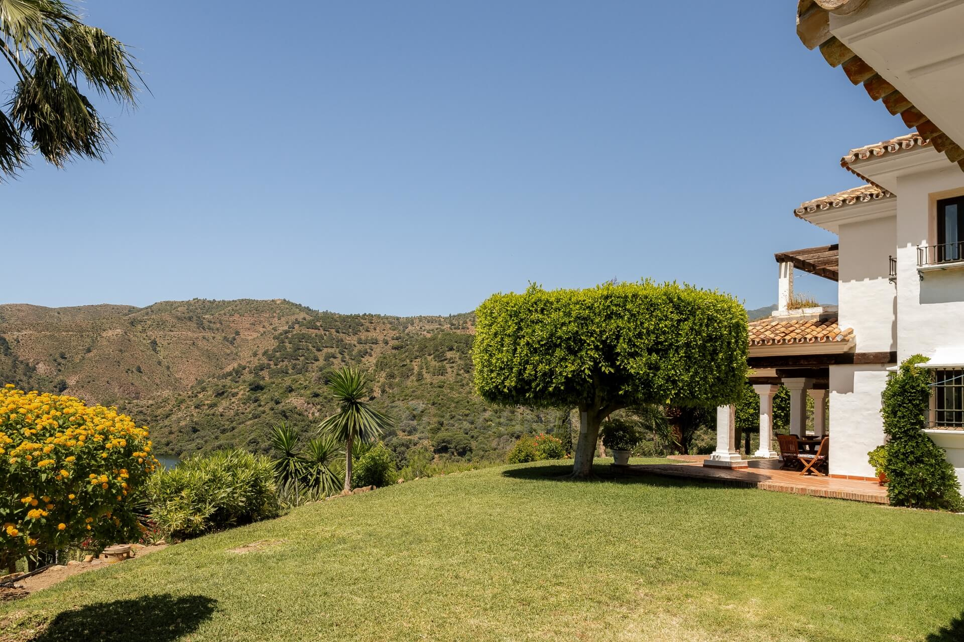 Image 10